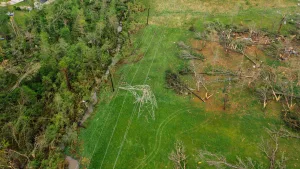 Verkehrssicherungspflicht des Grundstückseigentümers – Haftung bei waldtypischen Gefahren